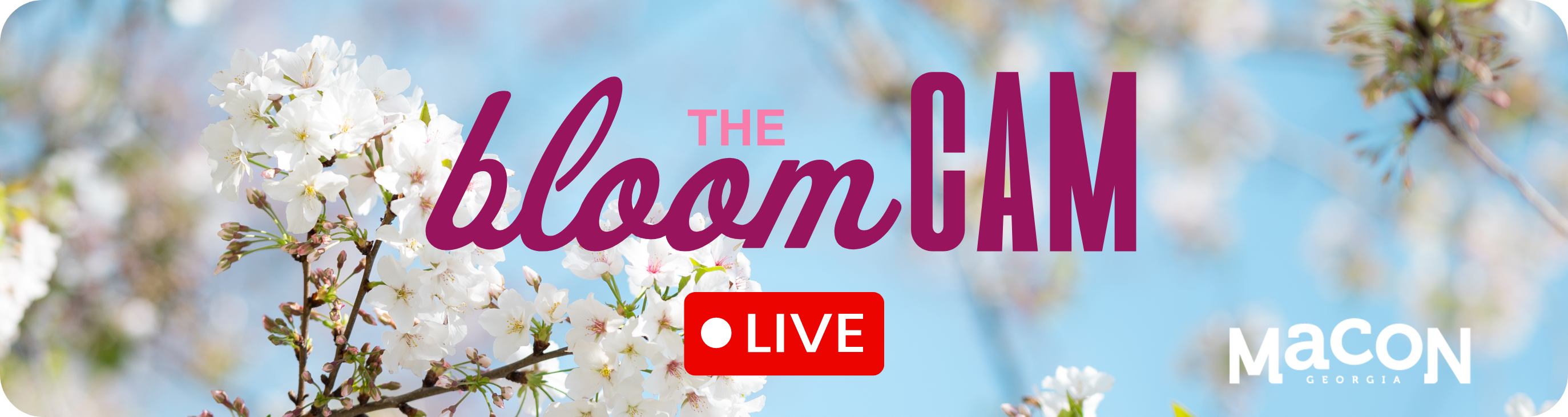 Bloom Cam